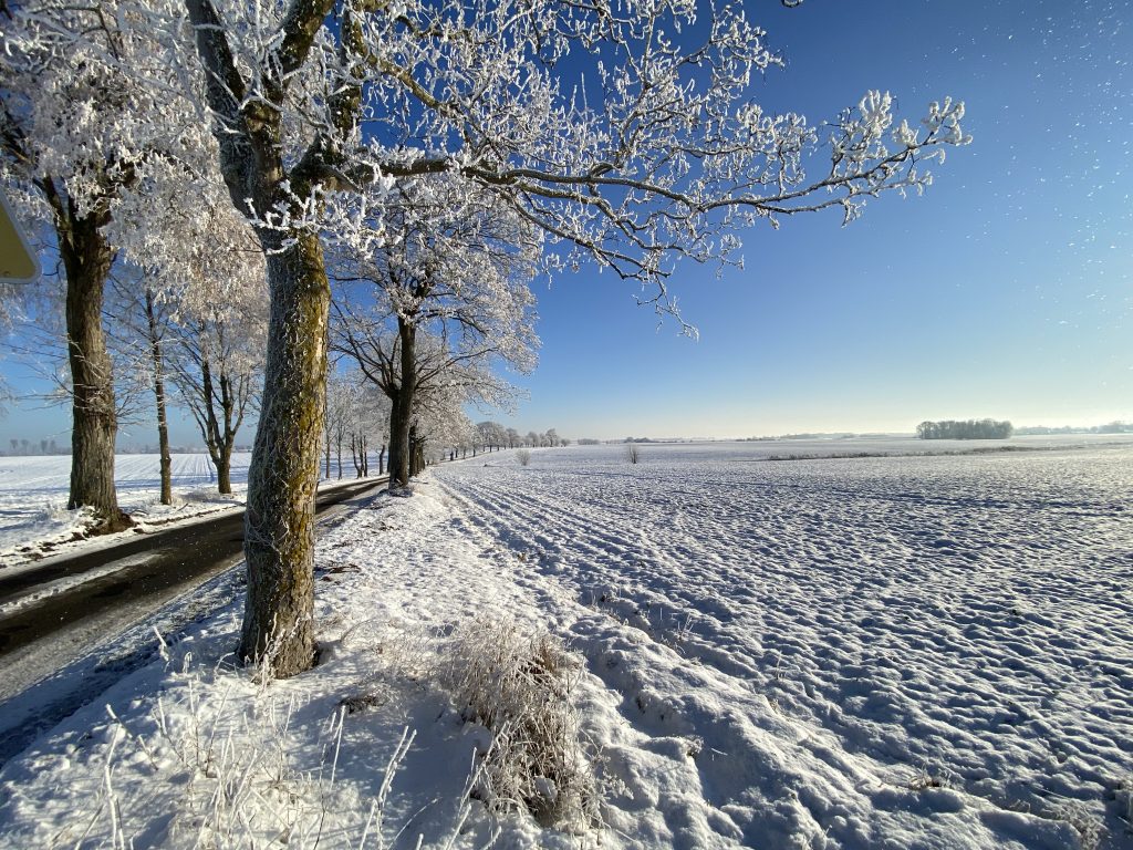 Winterlandschaft