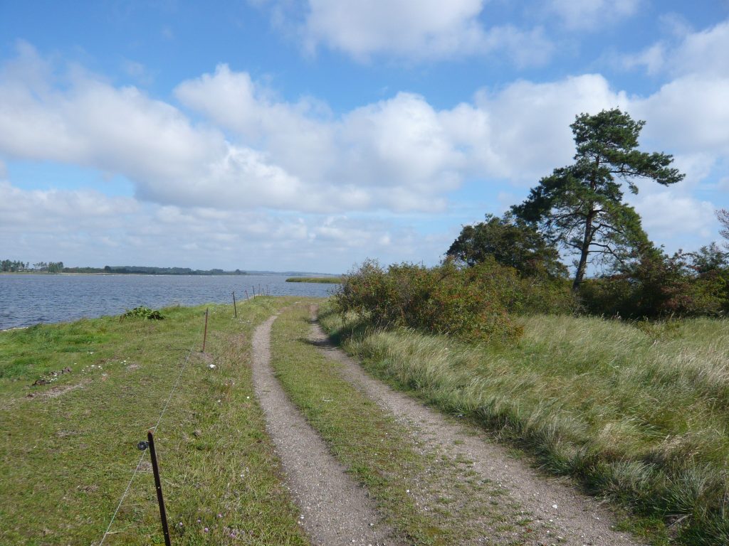 Auf der Halbinsel Zudar gegenüber Groß Schoritz