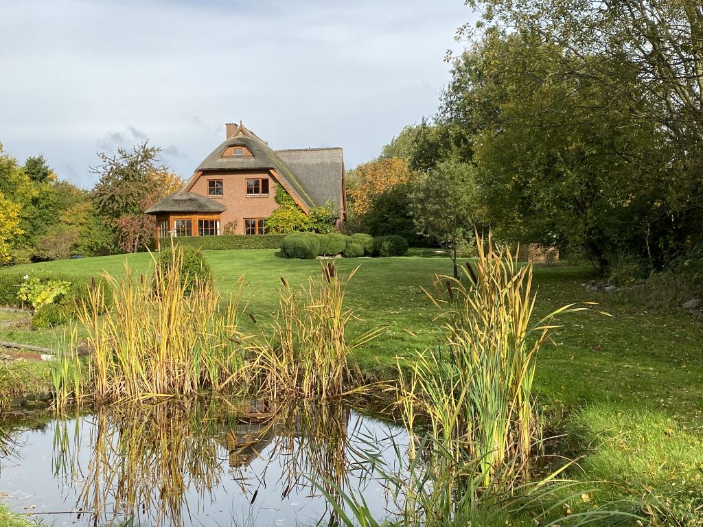 Blick über den Teich