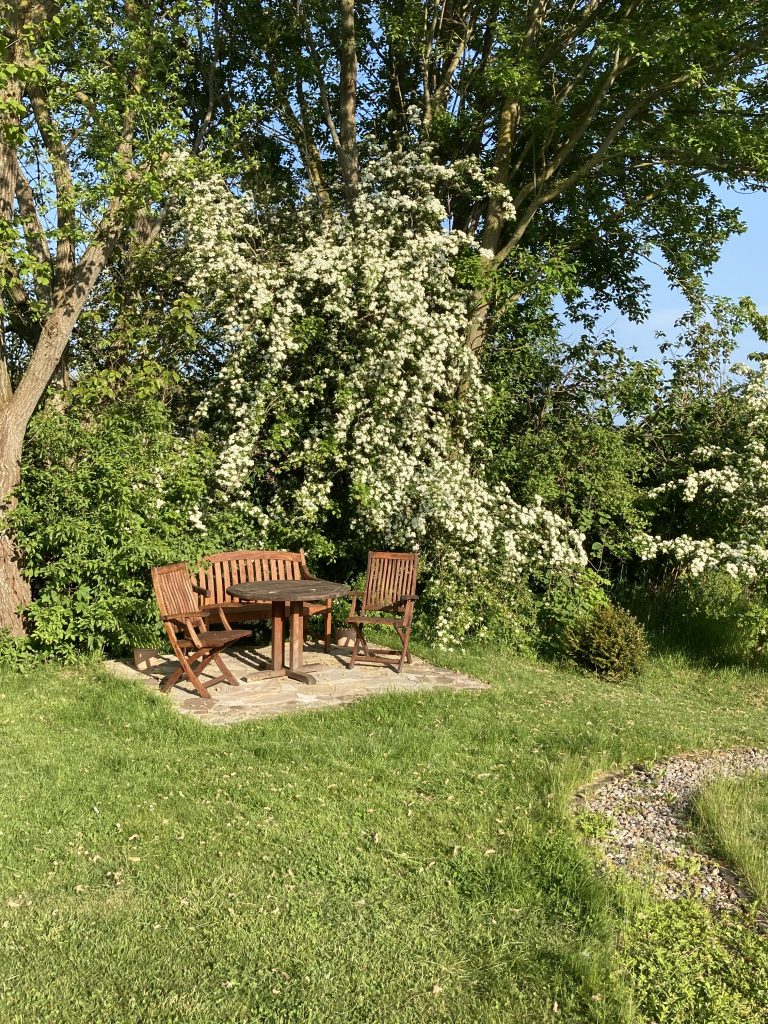 Sitzplatz unter Bäumen