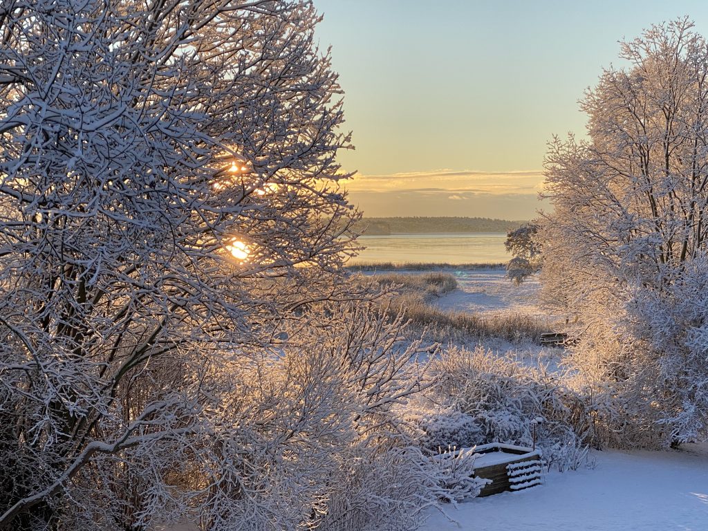 Sonnenaufgang im Winter